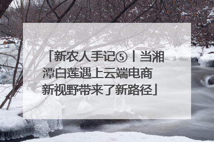 新农人手记⑤丨当湘潭白莲遇上云端电商 新视野带来了新路径