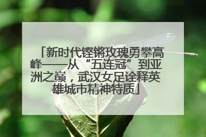 新时代铿锵玫瑰勇攀高峰——从“五连冠”到亚洲之巅，武汉女足诠释英雄城市精神特质
