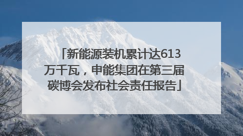 新能源装机累计达613万千瓦，申能集团在第三届碳博会发布社会责任报告