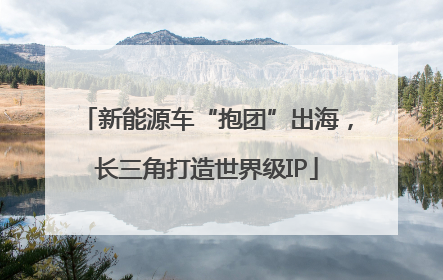 新能源车“抱团”出海，长三角打造世界级IP
