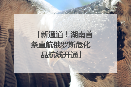 新通道！湖南首条直航俄罗斯危化品航线开通