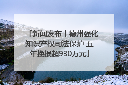 新闻发布丨德州强化知识产权司法保护 五年挽损超930万元