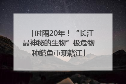 时隔20年！“长江最神秘的生物”极危物种鳤鱼重现赣江