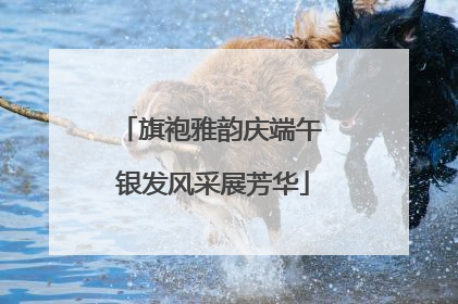 旗袍雅韵庆端午 银发风采展芳华