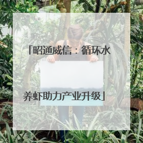 昭通威信：循环水养虾助力产业升级