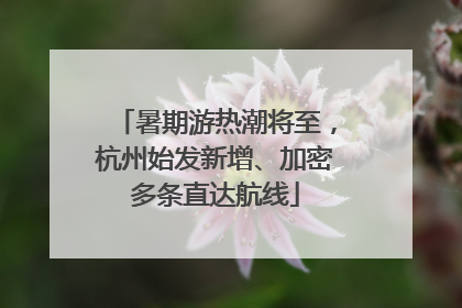 暑期游热潮将至，杭州始发新增、加密多条直达航线