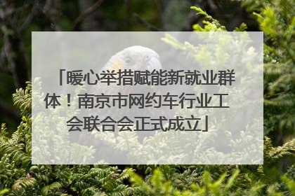 暖心举措赋能新就业群体！南京市网约车行业工会联合会正式成立
