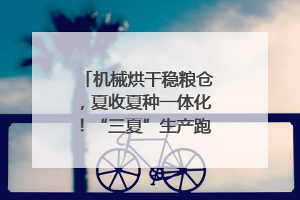 机械烘干稳粮仓，夏收夏种一体化！“三夏”生产跑出加速度｜麦报