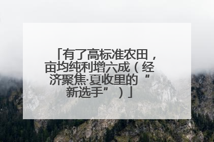有了高标准农田，亩均纯利增六成（经济聚焦·夏收里的“新选手”）