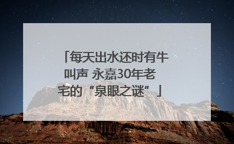 每天出水还时有牛叫声 永嘉30年老宅的“泉眼之谜”