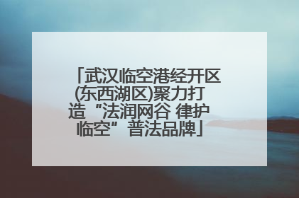 武汉临空港经开区(东西湖区)聚力打造“法润网谷 律护临空”普法品牌