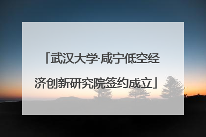 武汉大学·咸宁低空经济创新研究院签约成立