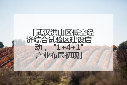 武汉洪山区低空经济综合试验区建设启动，“1+4+1”产业布局初现