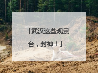 武汉这些观景台，封神！
