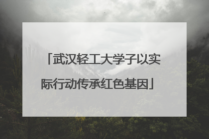武汉轻工大学子以实际行动传承红色基因