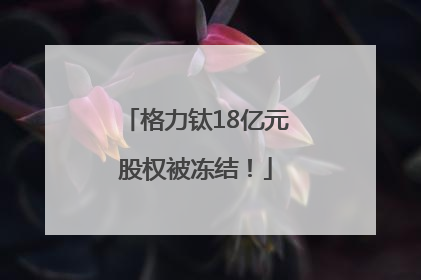 格力钛18亿元股权被冻结！