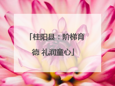 桂阳县：阶梯育德 礼润童心