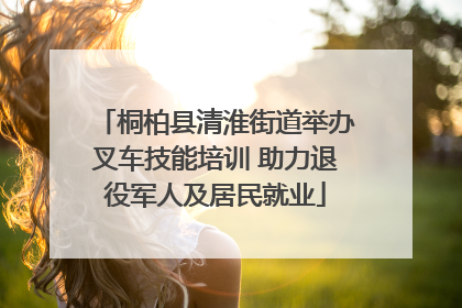 桐柏县清淮街道举办叉车技能培训 助力退役军人及居民就业
