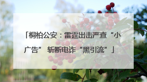 桐柏公安：雷霆出击严查“小广告” 斩断电诈“黑引流”