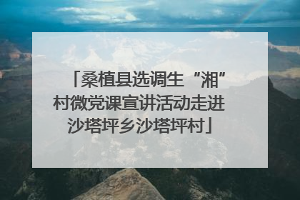 桑植县选调生“湘”村微党课宣讲活动走进沙塔坪乡沙塔坪村