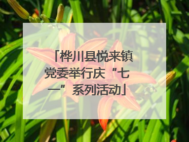 桦川县悦来镇党委举行庆“七一”系列活动