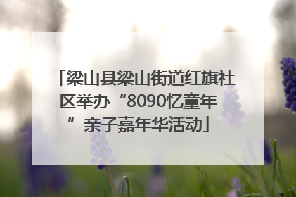 梁山县梁山街道红旗社区举办“8090忆童年”亲子嘉年华活动