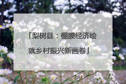 梨树县：棚膜经济绘就乡村振兴新画卷
