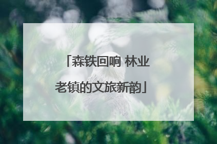 森铁回响 林业老镇的文旅新韵
