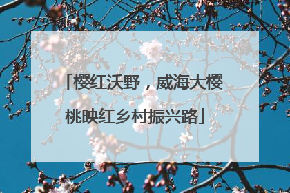 樱红沃野，威海大樱桃映红乡村振兴路
