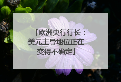 欧洲央行行长：美元主导地位正在变得不确定