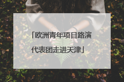 欧洲青年项目路演代表团走进天津