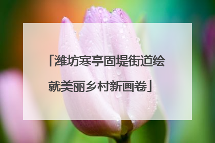 潍坊寒亭固堤街道绘就美丽乡村新画卷