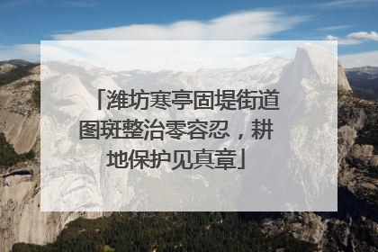 潍坊寒亭固堤街道图斑整治零容忍，耕地保护见真章