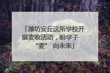 潍坊安丘这所学校开展麦收活动，盼学子 “麦” 向未来