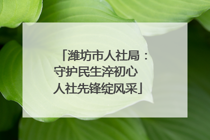 潍坊市人社局：守护民生淬初心 人社先锋绽风采
