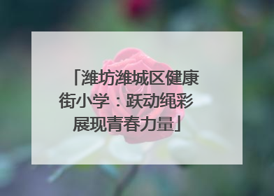 潍坊潍城区健康街小学：跃动绳彩展现青春力量