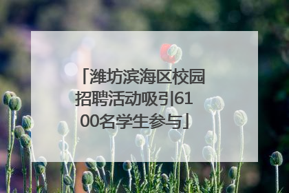 潍坊滨海区校园招聘活动吸引6100名学生参与