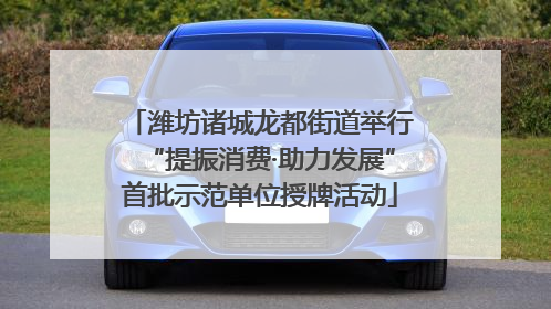 潍坊诸城龙都街道举行“提振消费·助力发展”首批示范单位授牌活动