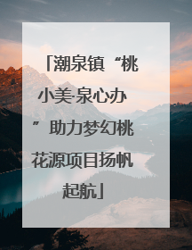 潮泉镇“桃小美·泉心办”助力梦幻桃花源项目扬帆起航