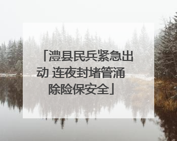澧县民兵紧急出动 连夜封堵管涌除险保安全