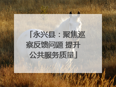 永兴县：聚焦巡察反馈问题 提升公共服务质量