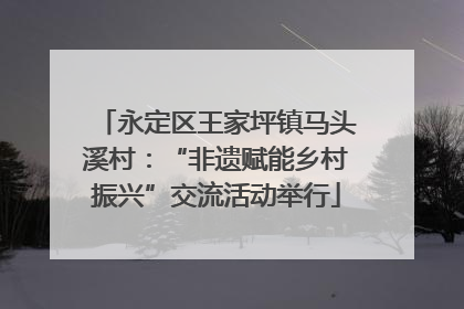 永定区王家坪镇马头溪村：“非遗赋能乡村振兴”交流活动举行