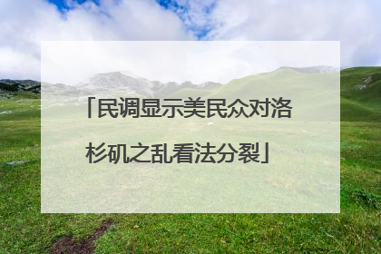 民调显示美民众对洛杉矶之乱看法分裂