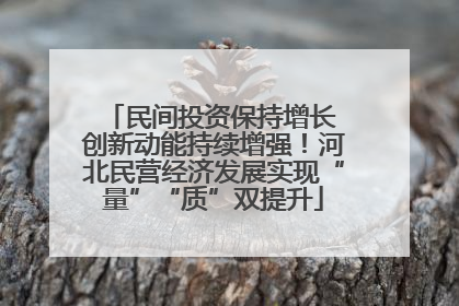 民间投资保持增长 创新动能持续增强！河北民营经济发展实现“量”“质”双提升
