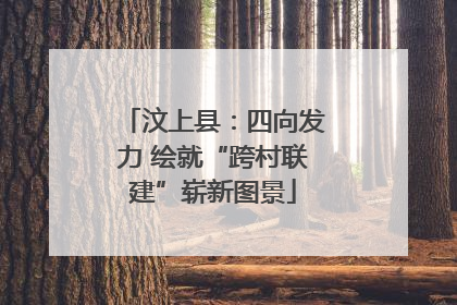 汶上县：四向发力 绘就“跨村联建”崭新图景