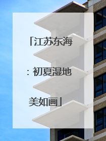 江苏东海：初夏湿地美如画