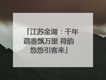 江苏金湖：千年藕香飘万里 荷韵悠悠引客来