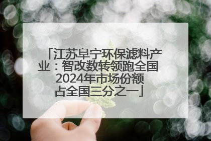 江苏阜宁环保滤料产业：智改数转领跑全国 2024年市场份额占全国三分之一