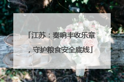 江苏：奏响丰收乐章，守护粮食安全底线