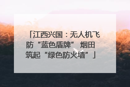 江西兴国：无人机飞防“蓝色盾牌” 烟田筑起“绿色防火墙”